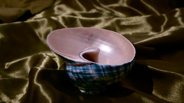 Wild Green Turbo Shell Tea Strainer