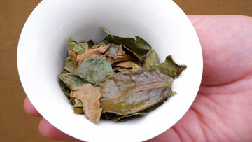 2016 Wild Vegetable White Tea Winter Large Leaf