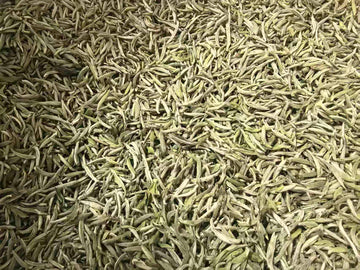 2026 First-picked Silver Needle - White Tea -  Master Mei - Charcoal Light Roast
