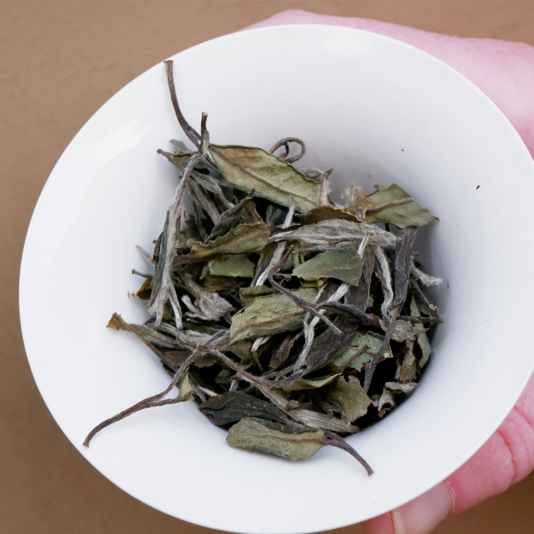 Little Bee - 2021 Wild White Peony From Fuding PanXi